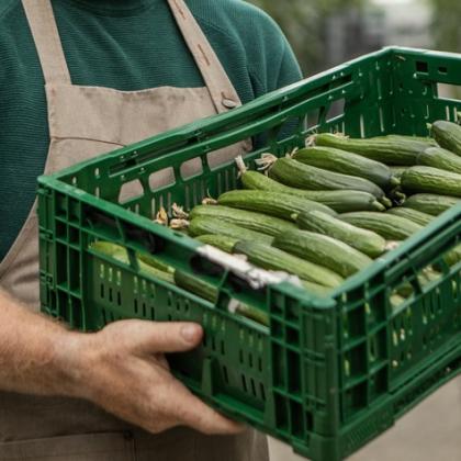 partners of veggies first