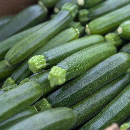 courgette seizoen