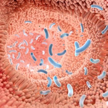 microbiota