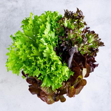 salatrio