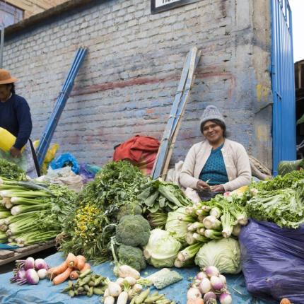 frutas y legumes en peru