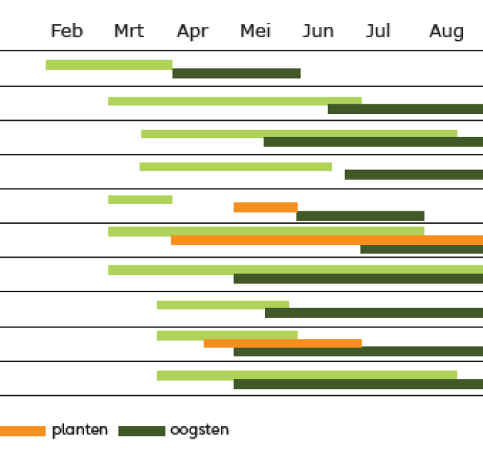 zaaien planten oogsten