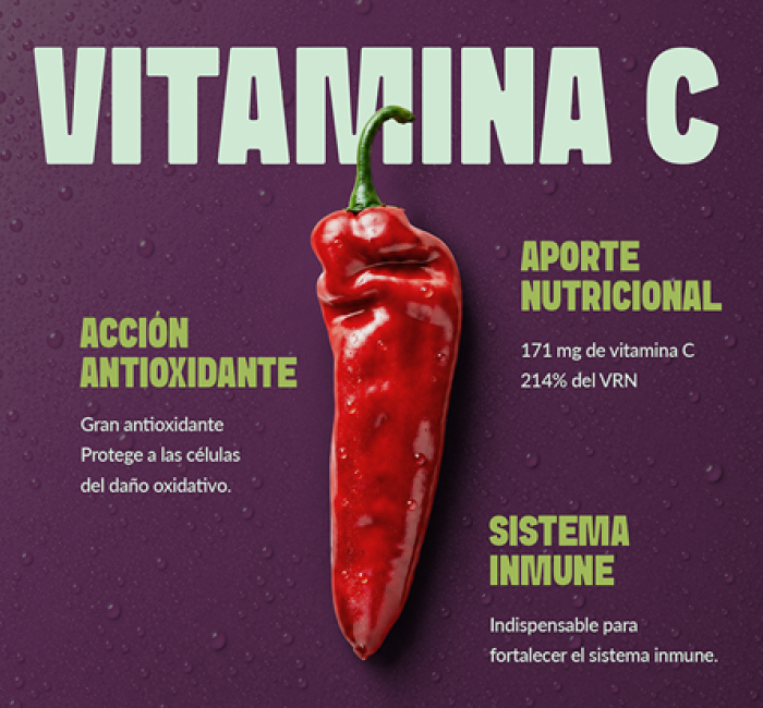 palermo vitamina c