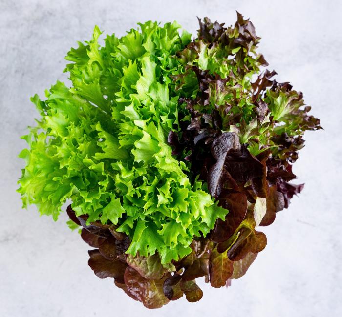 salatrio