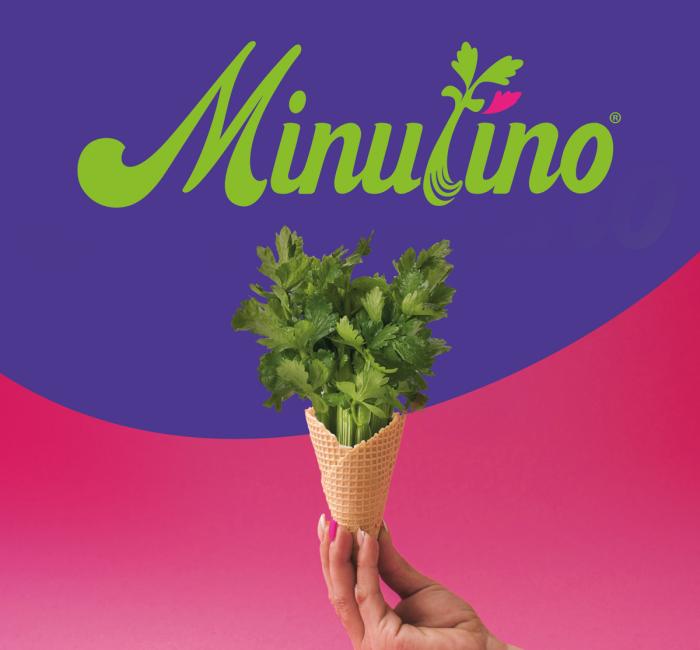Minutino