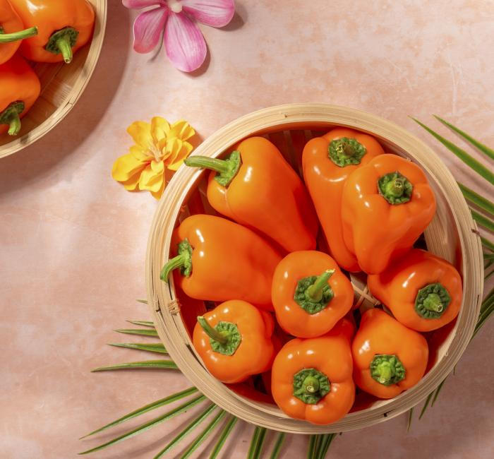 TATAYOYO PEPPERS