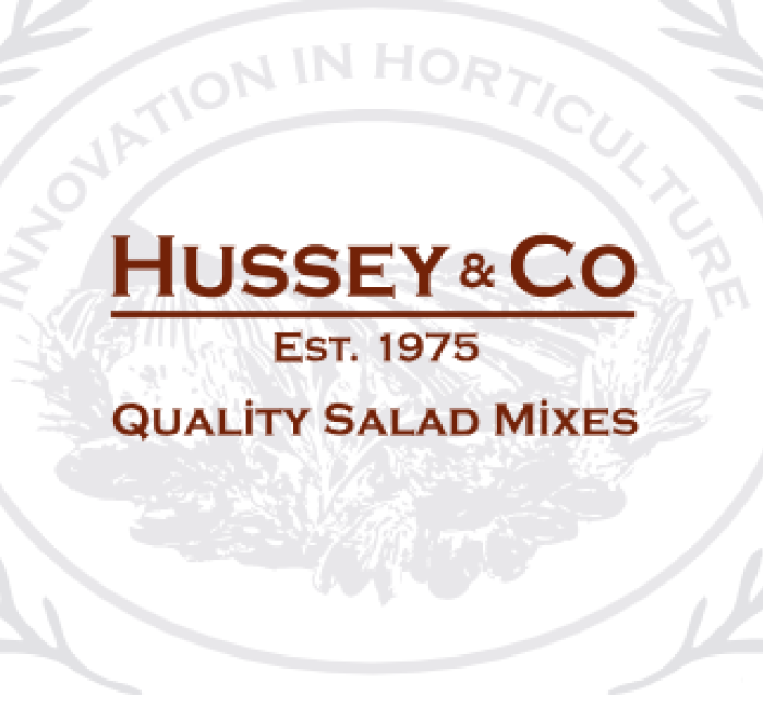 Hussey & Co 