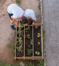 moestuinieren