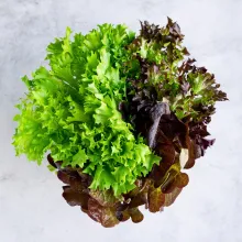 salatrio
