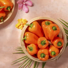 TATAYOYO PEPPERS