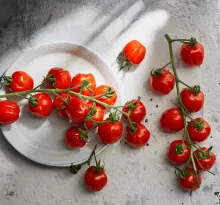 tomato