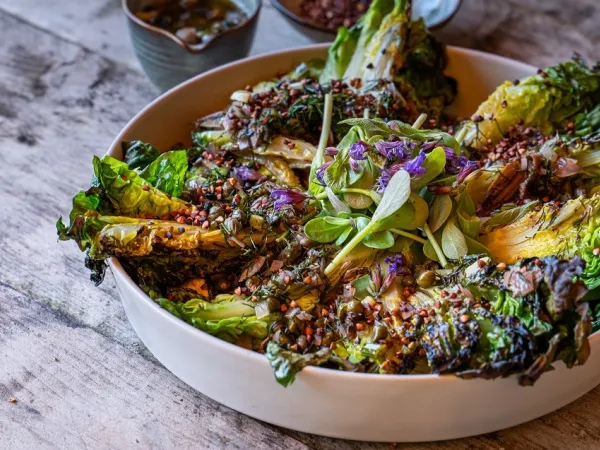 grilled lettuce
