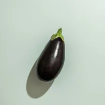Aubergine